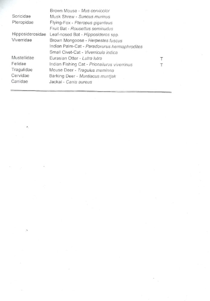 Biodiversity Report From Dr. Channa Bambaradeniya 006