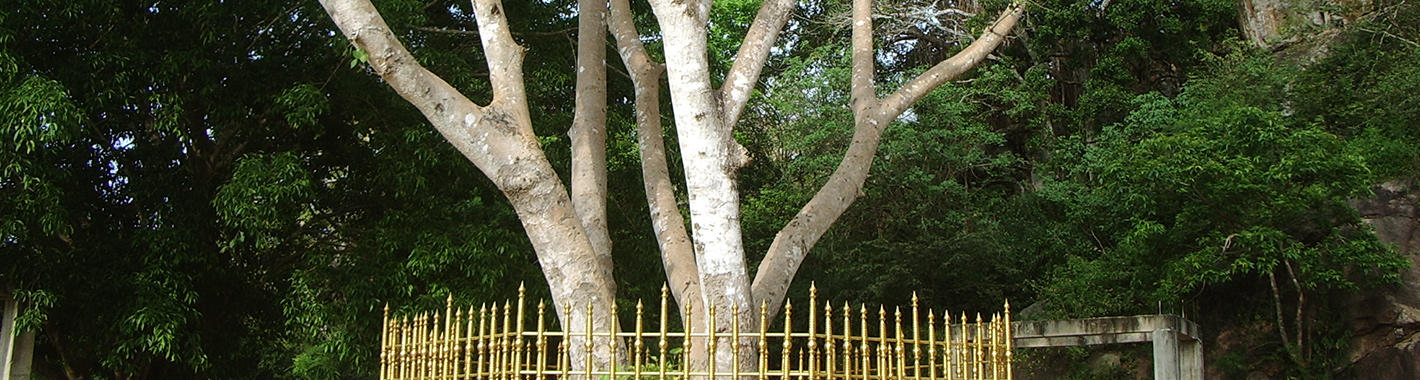 Meritorious Activities